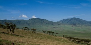 Ngorongoro Area