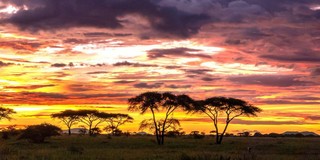 Sonnenuntergang in der Savanne