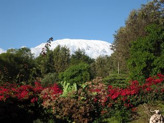 Kilimanjaro Besteigung