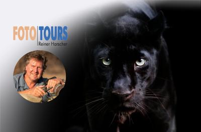 Kenias Hochland und der Wilde Norden mit Profi-Fotograf Reiner Harscher