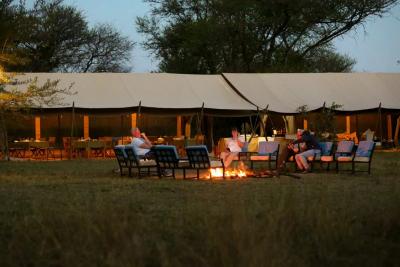 Intimate Camp Zebra
