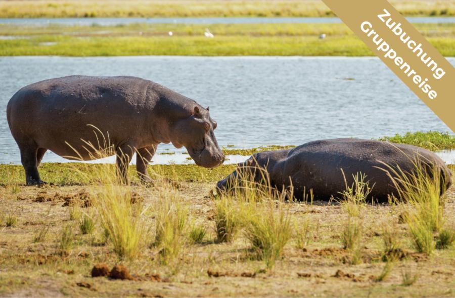 Naturerlebnis Kenia