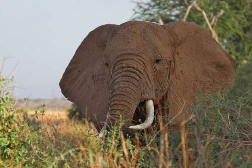 Kidepo Valley Nationalpark