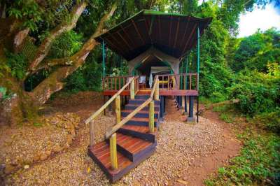 Gombe Forest Lodge